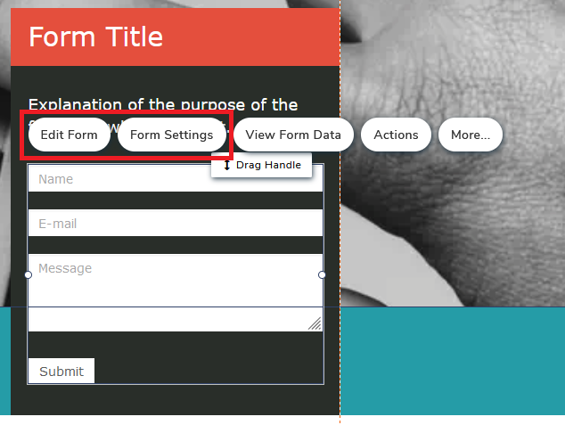 How to further edit the web form