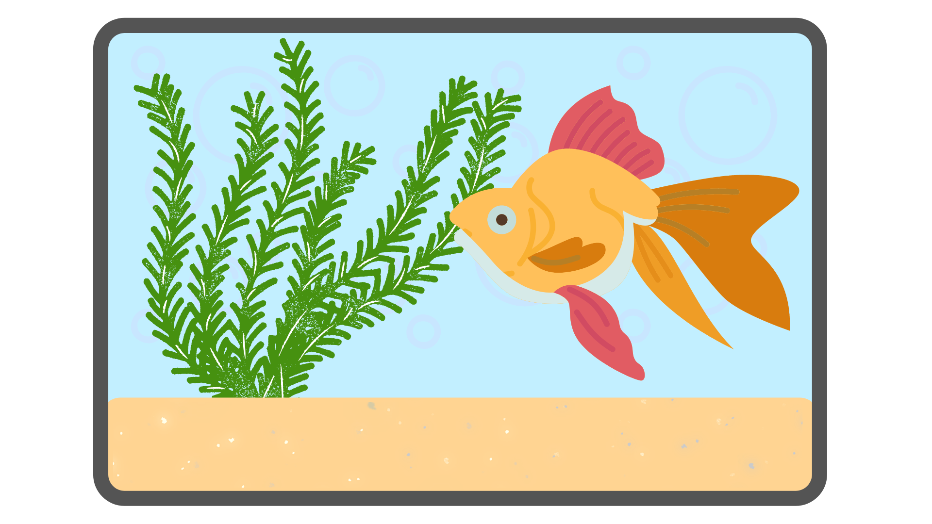 Website font goldfish memory in a tank