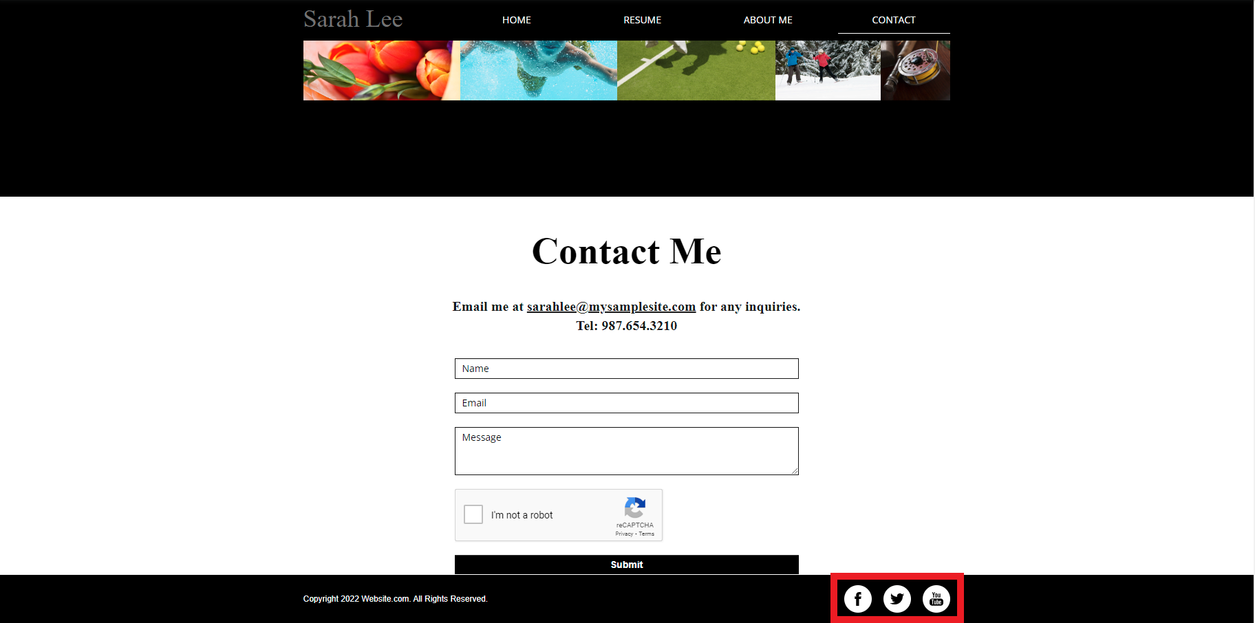 Website contact social links